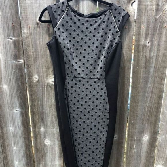 113. Enfocus Petite Polka Dot Black and Gray Dress 10P - Picture 4 of 14